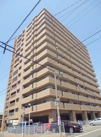 エバーライフ久留米中央 / 1401号室