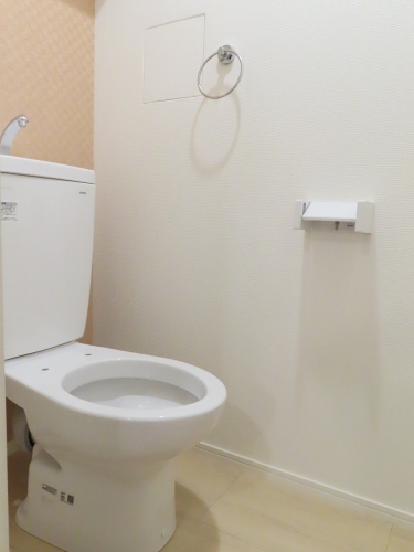 ラフィーネ井尻ⅡＢ棟 / 405号室 トイレ